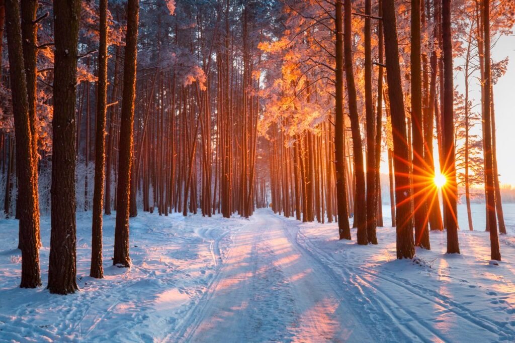 Paysage hivernal calme pour une détox naturelle en naturopathie