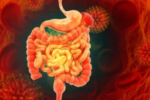 Illustration du microbiote intestinal et ses effets sur le métabolisme et le poids