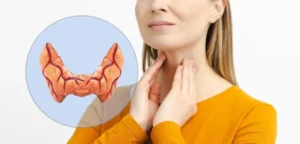 Illustration de la glande thyroïde située à la base du cou